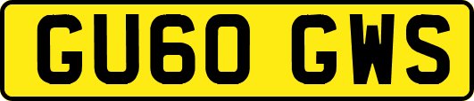 GU60GWS