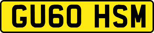 GU60HSM