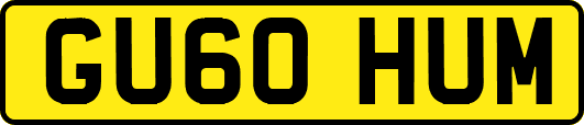 GU60HUM
