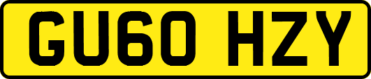 GU60HZY