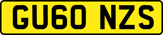 GU60NZS