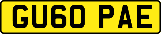 GU60PAE