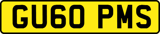 GU60PMS