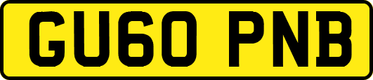 GU60PNB