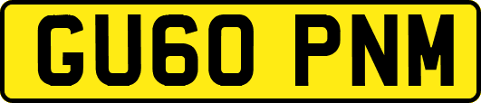 GU60PNM
