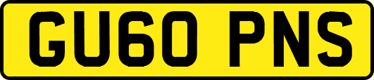 GU60PNS