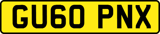 GU60PNX