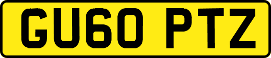 GU60PTZ