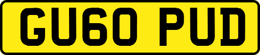GU60PUD