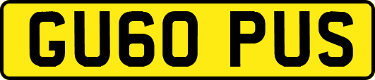 GU60PUS