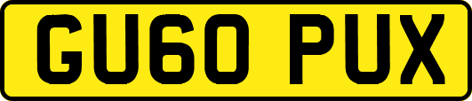 GU60PUX