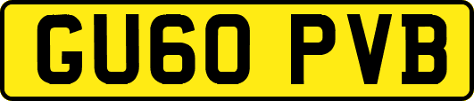 GU60PVB