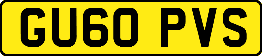 GU60PVS