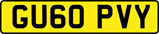 GU60PVY