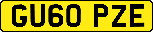 GU60PZE