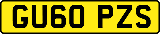 GU60PZS