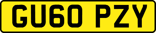 GU60PZY