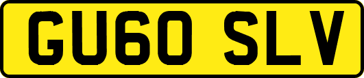 GU60SLV