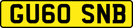 GU60SNB