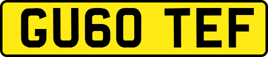 GU60TEF