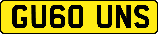 GU60UNS
