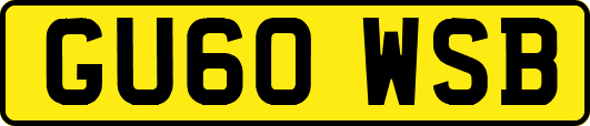 GU60WSB