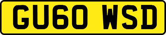 GU60WSD