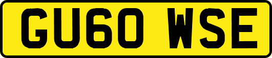 GU60WSE