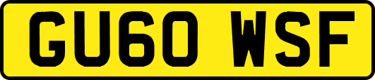 GU60WSF