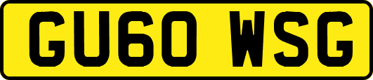 GU60WSG