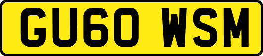 GU60WSM