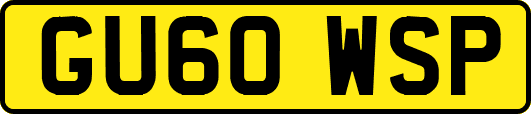 GU60WSP