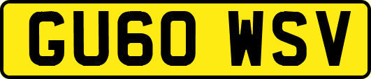 GU60WSV