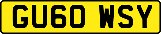 GU60WSY