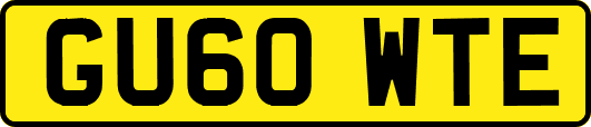 GU60WTE