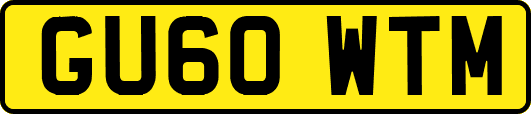 GU60WTM