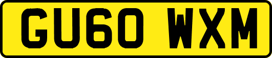 GU60WXM