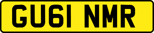 GU61NMR
