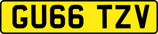 GU66TZV