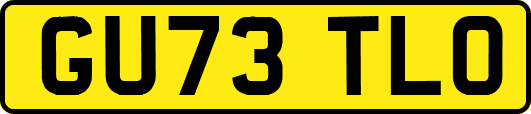 GU73TLO