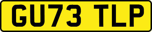 GU73TLP