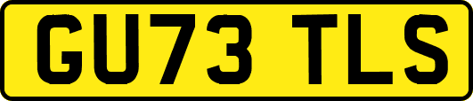 GU73TLS