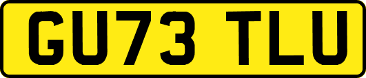 GU73TLU