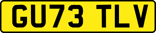 GU73TLV