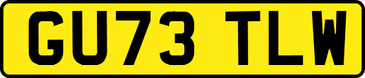 GU73TLW