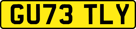 GU73TLY