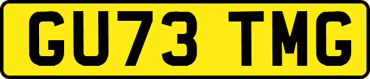 GU73TMG
