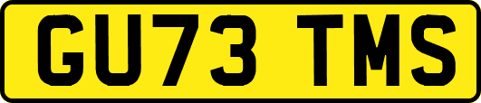 GU73TMS