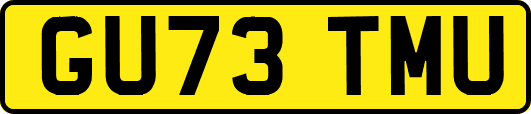 GU73TMU