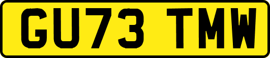 GU73TMW